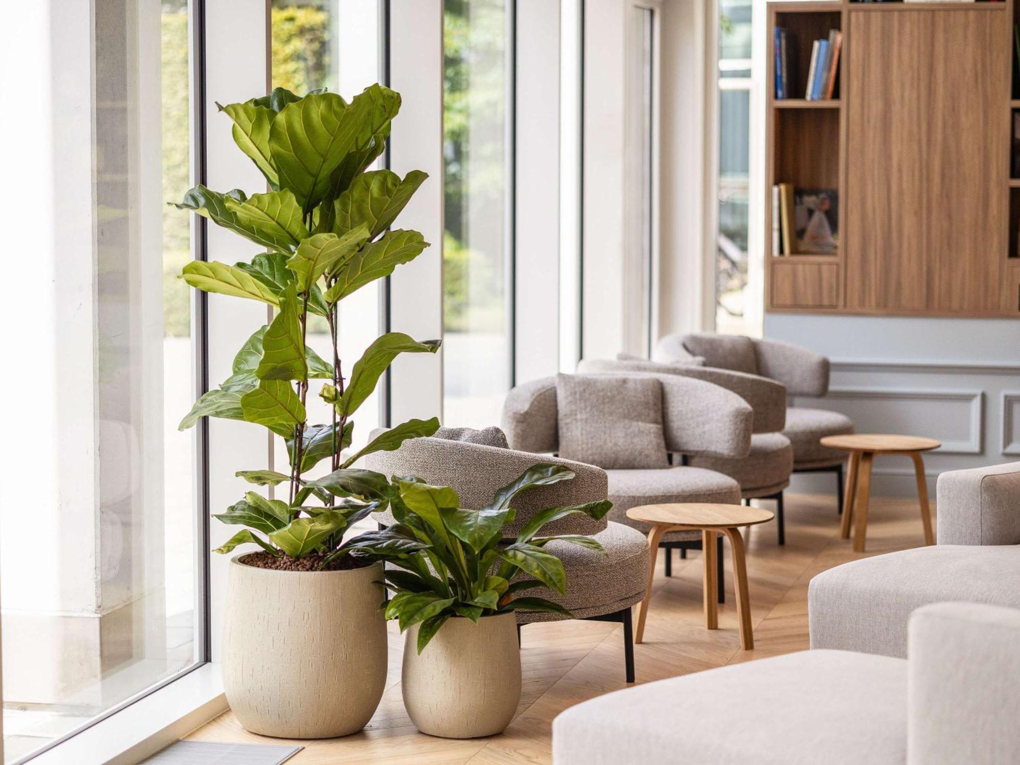 Novotel Brugge Centrum Bagian luar foto